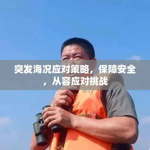 突发海况应对策略,保障安全,从容应对挑战