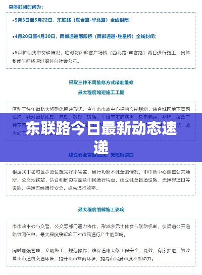东联路今日最新动态速递