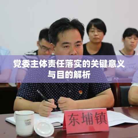 党委主体责任落实的关键意义与目的解析