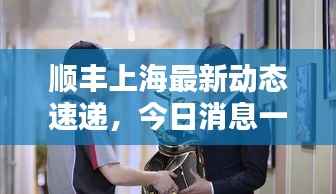 顺丰上海最新动态速递,今日消息一网打尽