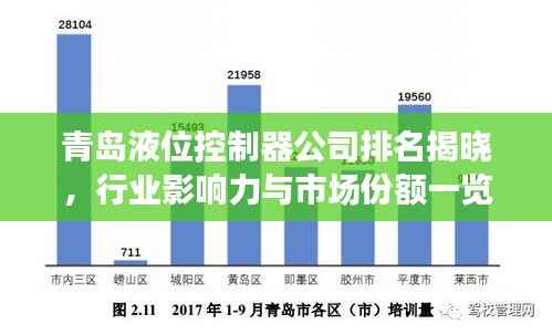 青岛液位控制器公司排名揭晓,行业影响力与市场份额一览
