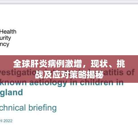 全球肝炎病例激增,现状、挑战及应对策略揭秘