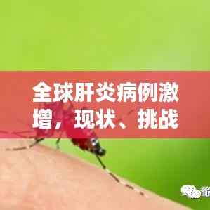 全球肝炎病例激增,现状、挑战及应对策略揭秘