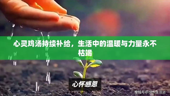 心灵鸡汤持续补给,生活中的温暖与力量永不枯竭