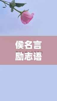 侯名言励志语录集锦,英语励志语句荟萃