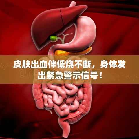 皮肤出血伴低烧不断,身体发出紧急警示信号!