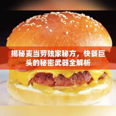 揭秘麦当劳独家秘方，快餐巨头的秘密武器全解析