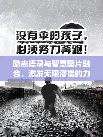 励志语录与智慧图片融合,激发无限潜能的力量
