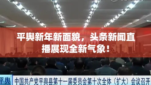 平舆新年新面貌,头条新闻直播展现全新气象!