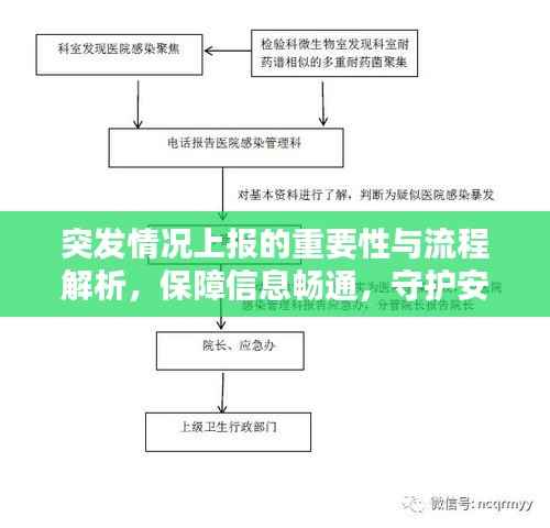 突发情况上报的重要性与流程解析,保障信息畅通,守护安全防线