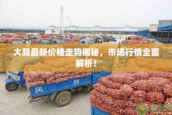 大蒜最新价格走势揭秘，市场行情全面解析！