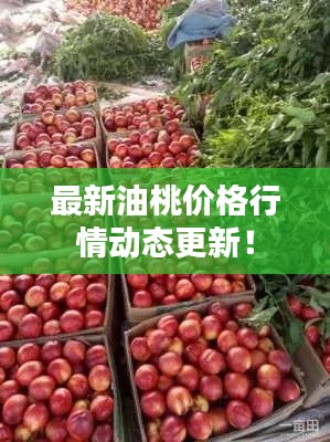 最新油桃价格行情动态更新！