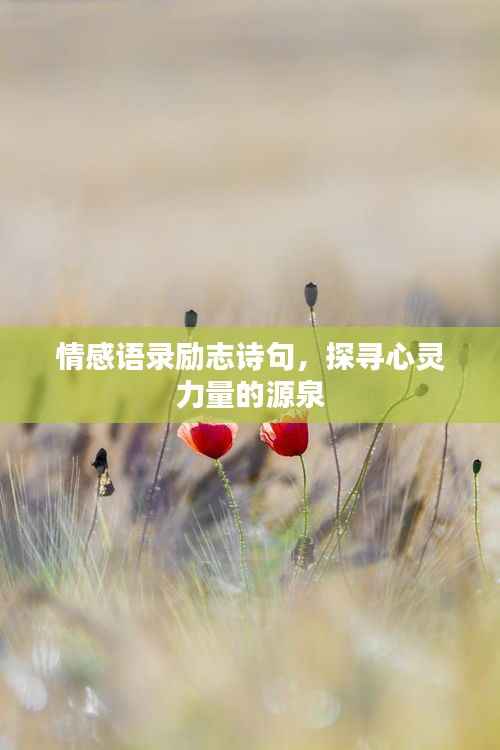 情感语录励志诗句,探寻心灵力量的源泉