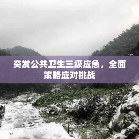 突发公共卫生三级应急，全面策略应对挑战