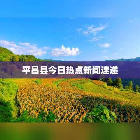 平昌县今日热点新闻速递