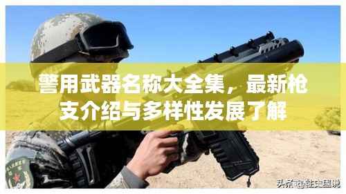警用武器名称大全集，最新枪支介绍与多样性发展了解