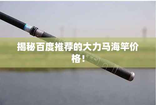 揭秘百度推荐的大力马海竿价格！