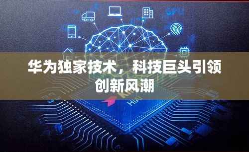 华为独家技术,科技巨头引领创新风潮