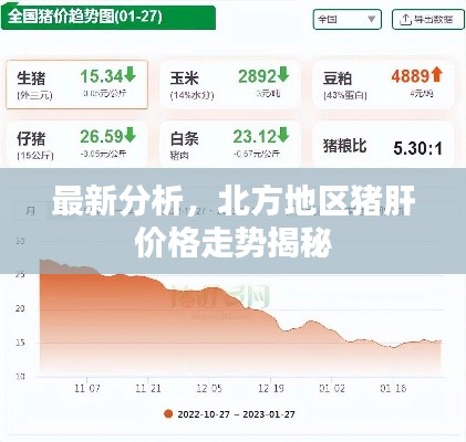 最新分析，北方地区猪肝价格走势揭秘