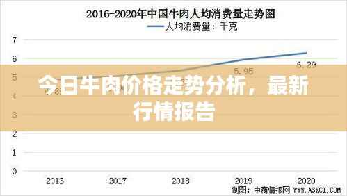 今日牛肉价格走势分析，最新行情报告