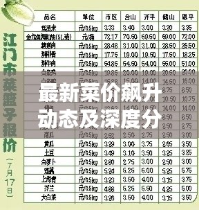 最新菜价飙升动态及深度分析