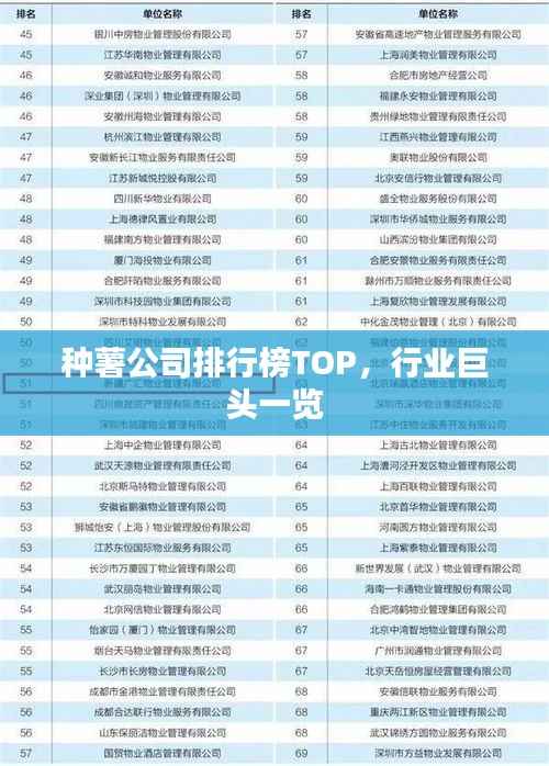 种薯公司排行榜TOP,行业巨头一览