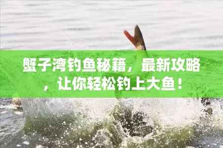 蟹子湾钓鱼秘籍,最新攻略,让你轻松钓上大鱼!