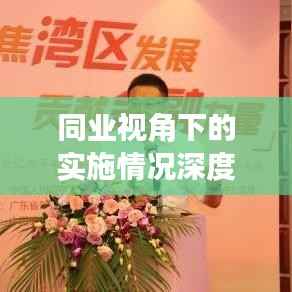 同业视角下的实施情况深度剖析