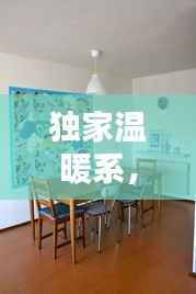 独家温暖系，探寻生活中的温馨独特时光