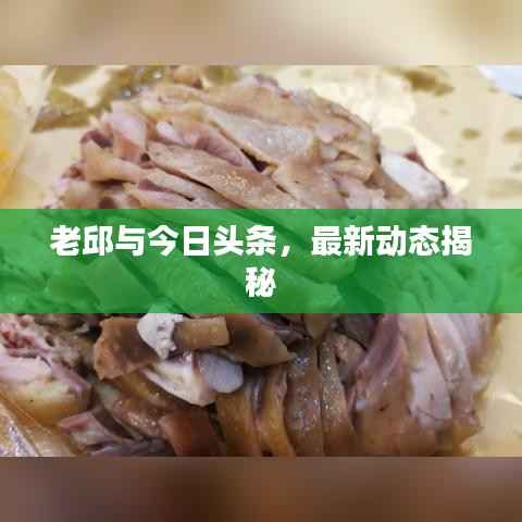 老邱与今日头条，最新动态揭秘