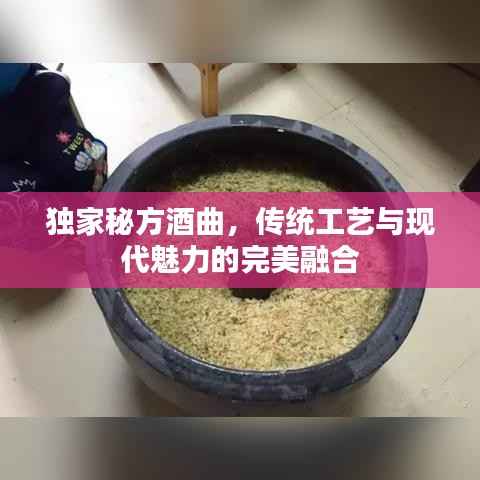 独家秘方酒曲，传统工艺与现代魅力的完美融合