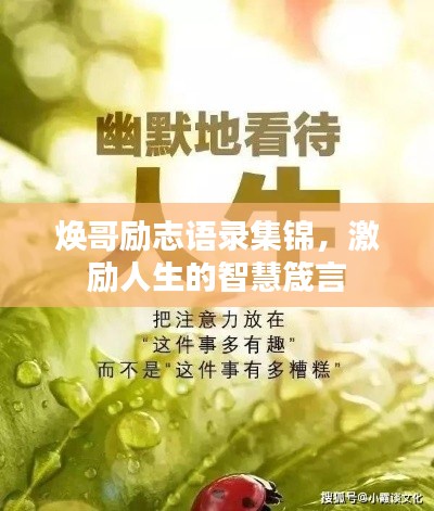 焕哥励志语录集锦，激励人生的智慧箴言