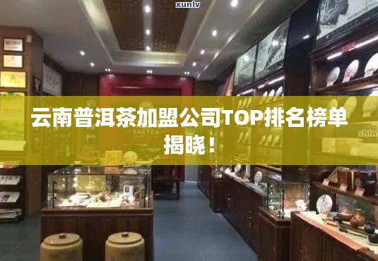 云南普洱茶加盟公司TOP排名榜单揭晓！