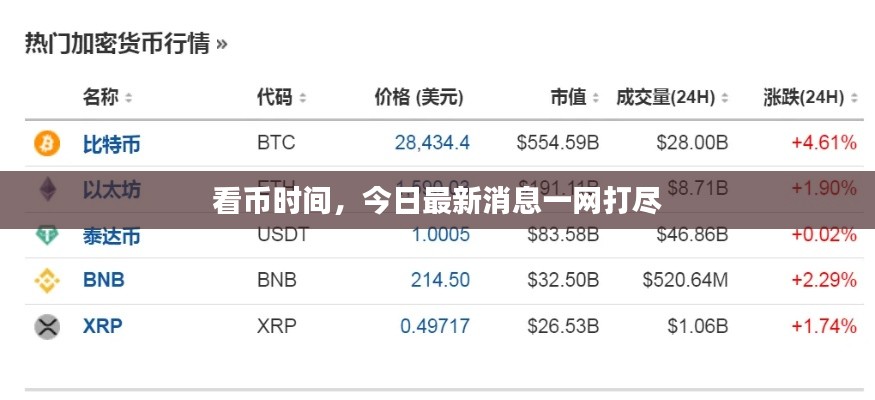 看币时间，今日最新消息一网打尽