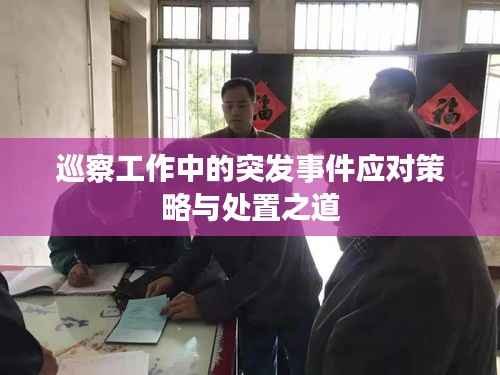 巡察工作中的突发事件应对策略与处置之道