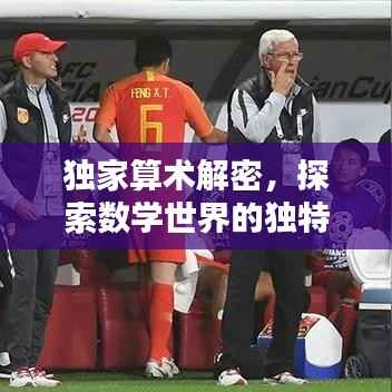 独家算术解密，探索数学世界的独特解法