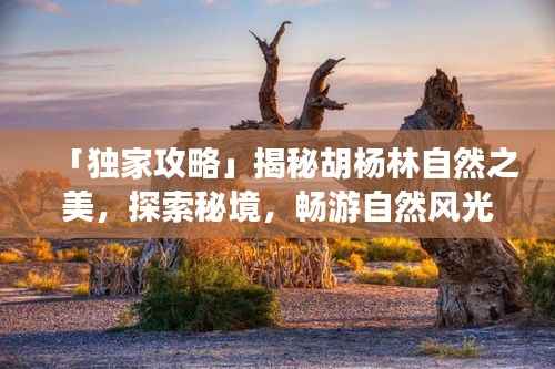 「独家攻略」揭秘胡杨林自然之美，探索秘境，畅游自然风光必备指南！