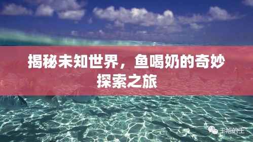 揭秘未知世界,鱼喝奶的奇妙探索之旅