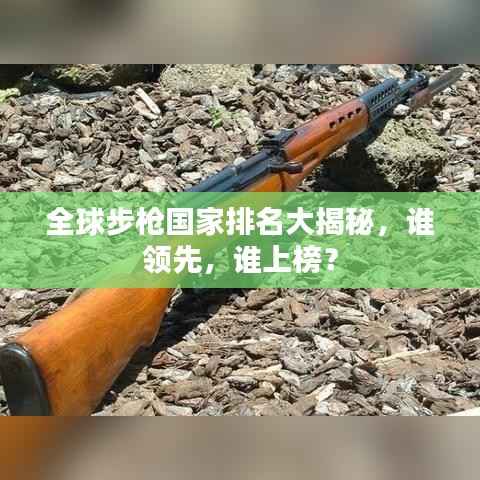 全球步枪国家排名大揭秘,谁领先,谁上榜?