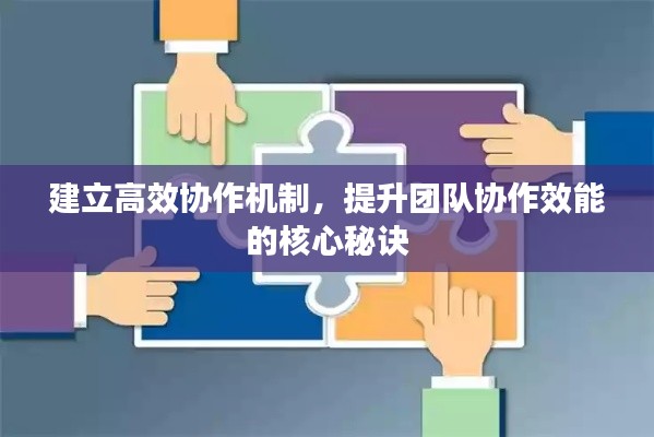 建立高效协作机制,提升团队协作效能的核心秘诀