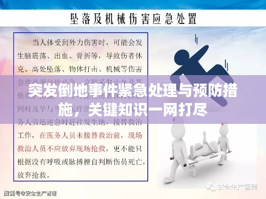 突发倒地事件紧急处理与预防措施,关键知识一网打尽