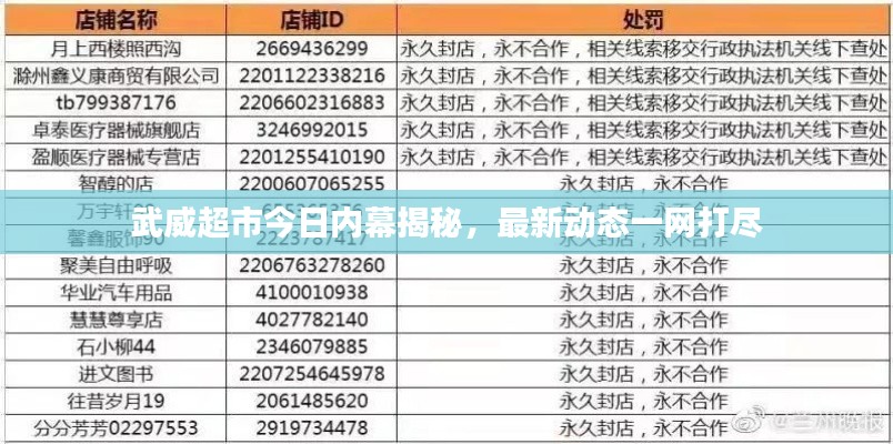 武威超市今日内幕揭秘,最新动态一网打尽