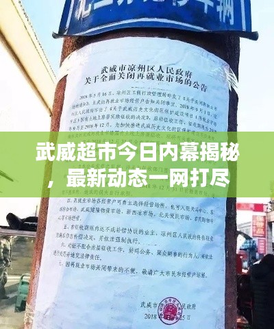 武威超市今日内幕揭秘,最新动态一网打尽