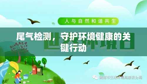 尾气检测,守护环境健康的关键行动