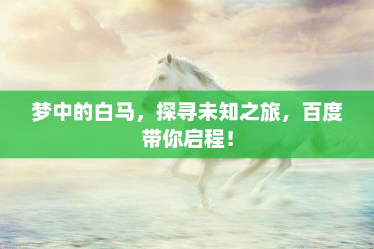 熊经鸟伸