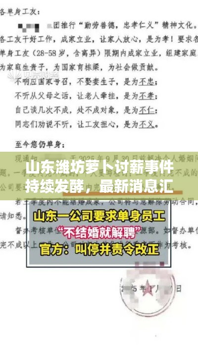 飞鸟惊蛇