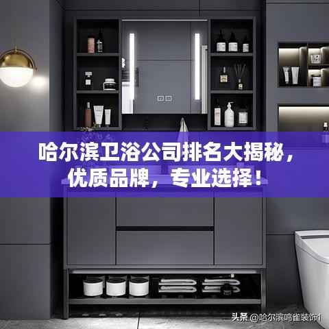 哈尔滨卫浴公司排名大揭秘，优质品牌，专业选择！