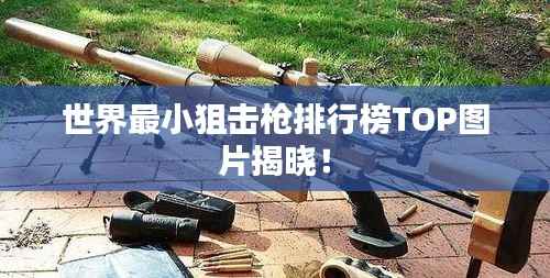 世界最小狙击枪排行榜TOP图片揭晓！