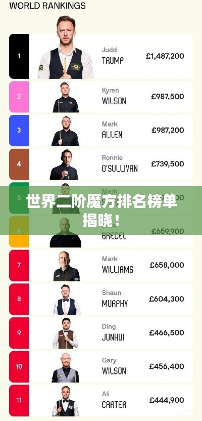 世界二阶魔方排名榜单揭晓！