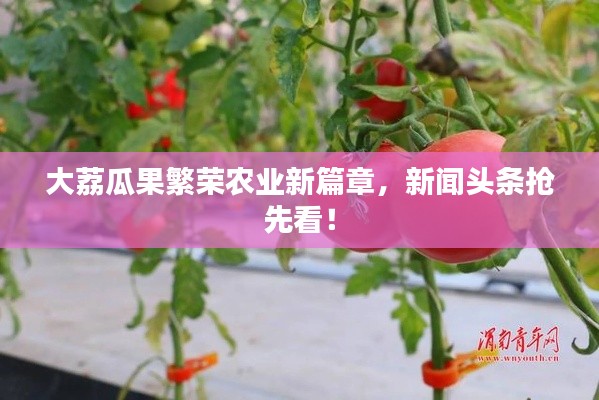 大荔瓜果繁荣农业新篇章，新闻头条抢先看！